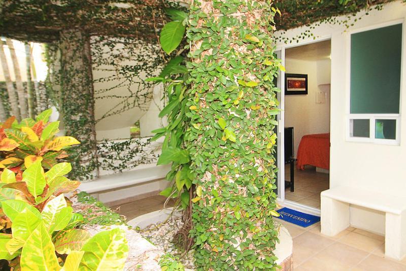 Bon Jesus Hotel La Vigueta Zewnętrze zdjęcie